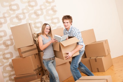 Professional removal service handling household items safely