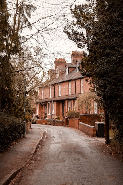 A narrow residential street with a gentle curve, lined with tall, bare-branched trees and brick walls along the pavements. The street leads up to a row of traditional red-brick terraced houses with pitched roofs, chimneys, and white-framed windows. In the foreground, a black wheelie bin is positioned next to the pavement on the right, and a streetlamp is visible on the left side. The scene appears to be during late autumn or winter, with overcast lighting and no visible people or vehicles in motion. Barnet Man and Van recently assisted with a house removal in this area, which involved careful furniture transport through narrow access points, as reflected in their logistics expertise through such environments.